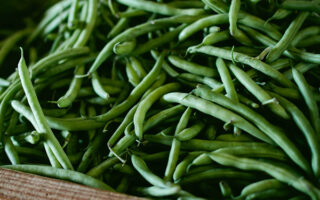 Hemkonserverade haricot verts