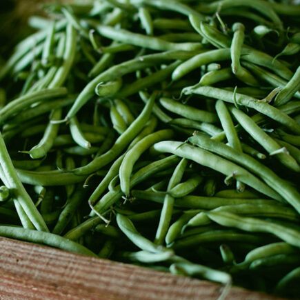 Hemkonserverade haricot verts