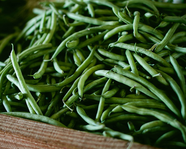 Hemkonserverade haricot verts